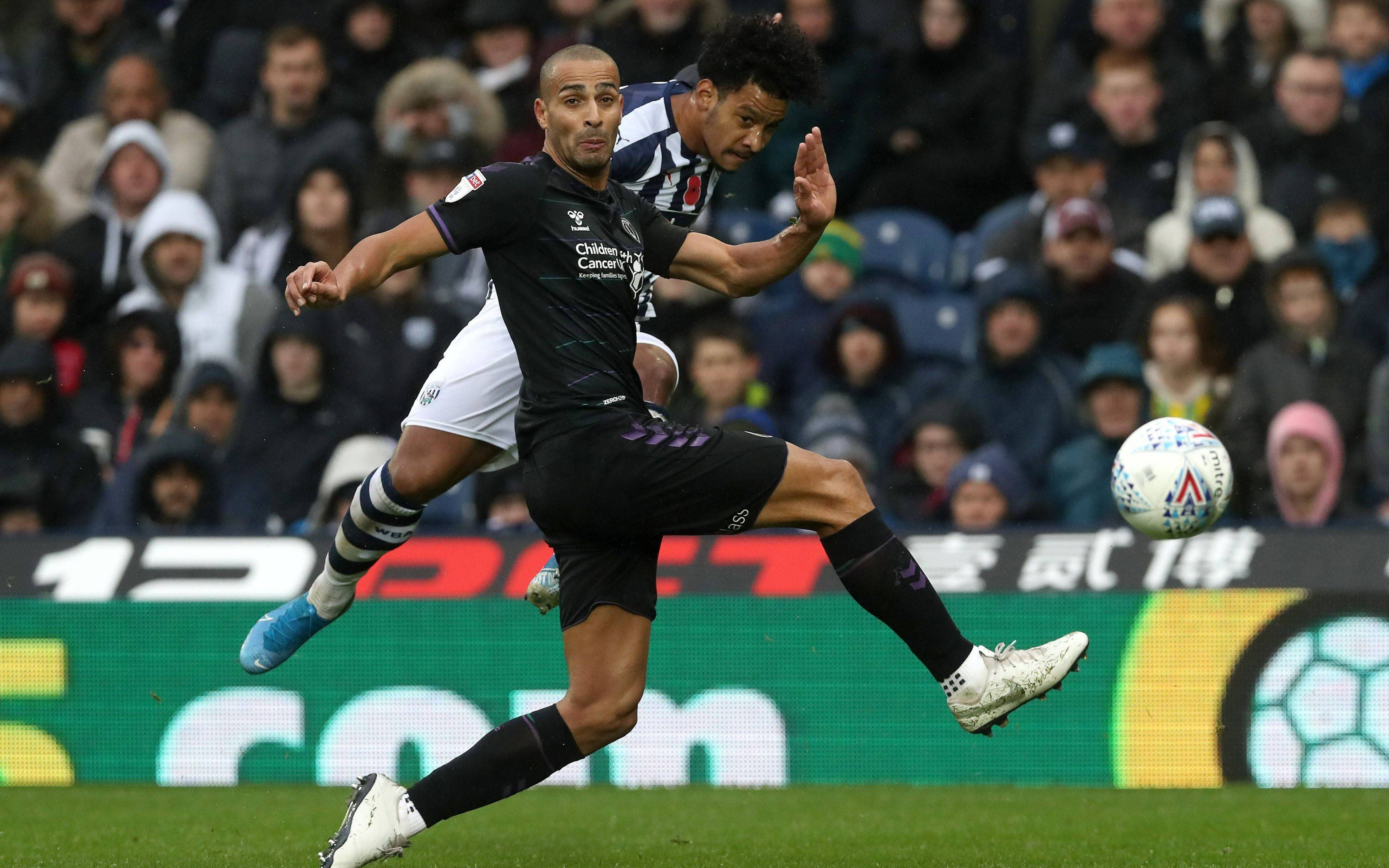 布莱顿主场战平,保持不败韧性 布莱顿主场战平,保持不败韧性